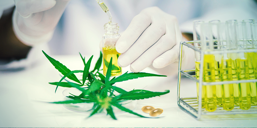 Die Wirksamkeit Von CBD-Kapseln Die Wirksamkeit Von CBD-kapseln