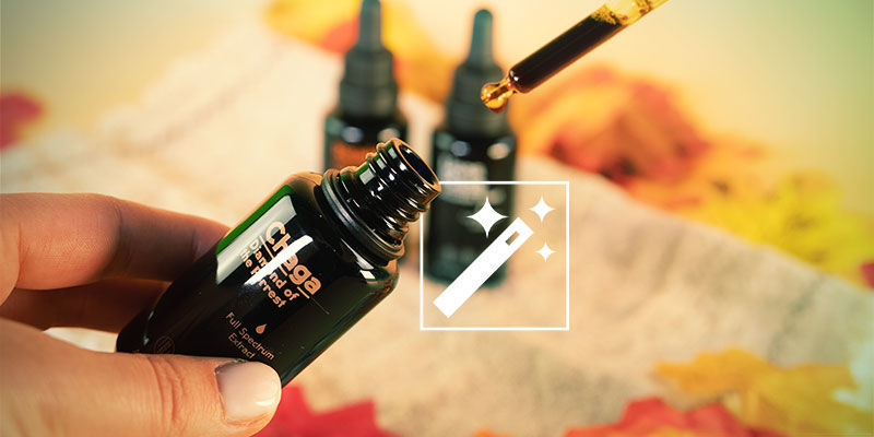 Die Wirkung Von Pilztinkturen Die Wirkung von Pilztinkturen