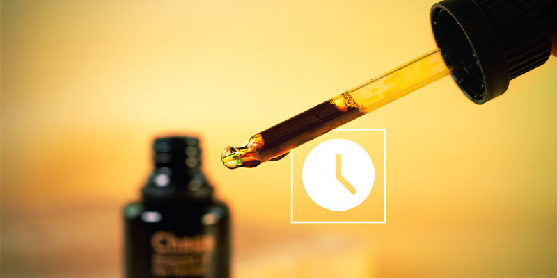 Wie Lange Hält Die Wirkung Einer Pilztinktur An? Wie lange hält die Wirkung einer Pilztinktur an?