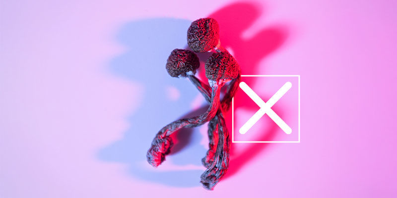 Sind Pilztinkturen Psychoaktiv? Sind Pilztinkturen psychoaktiv?