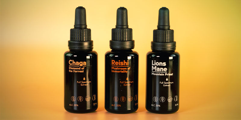 Wofür Werden Pilztinkturen Verwendet? Wofür werden Pilztinkturen verwendet?