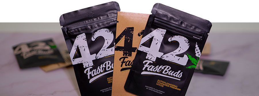 Informationen Über Cannabissamen Von FastBuds Informationen über Cannabissamen von FastBuds