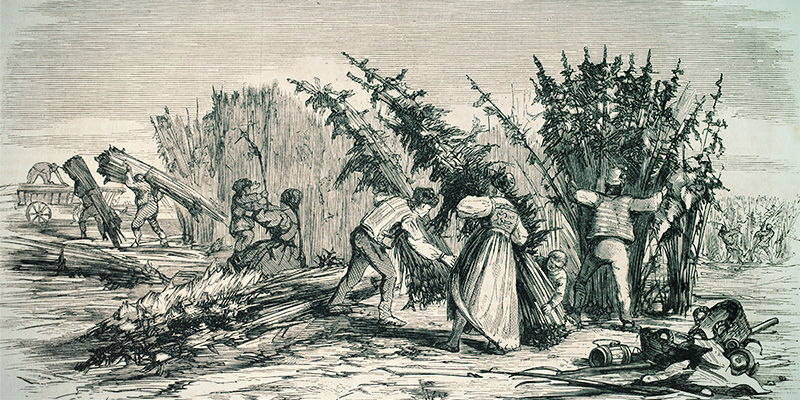 Die Entstehung Des SSSC Die Entstehung des SSSC (Super Sativa Seed Club)