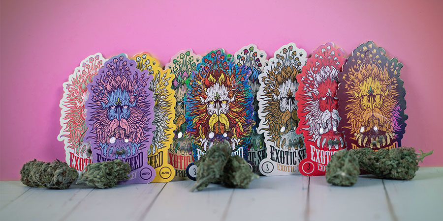 Preisgekrönte Cannabissorten Von Exotic Seed Preisgekrönte Cannabissorten Exotic Seed