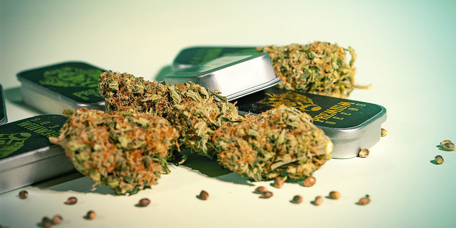 Was Unterscheidet G13 Labs Von Anderen? Was unterscheidet G13 Labs von anderen?