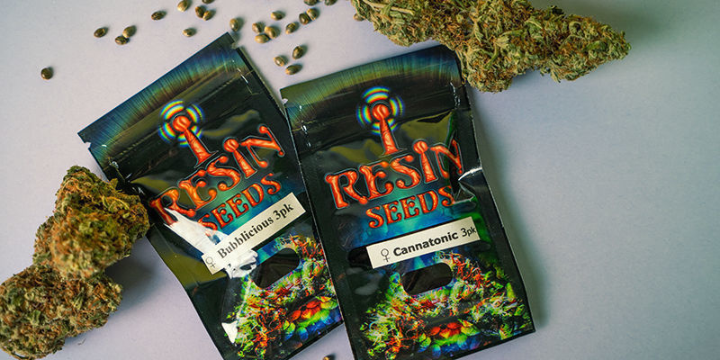 Wie Werden Die Cannabissamen Von Resin Seeds Verpackt? Verpackung von Resin Seeds