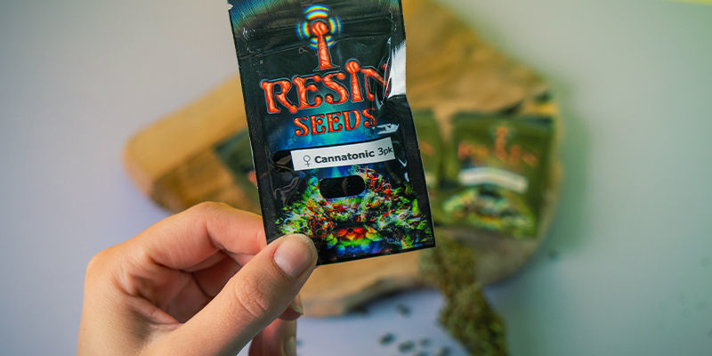 Resin Seeds: Gründer Der CBD-Bewegung Resin Seeds: Gründer CBD-Bewegung