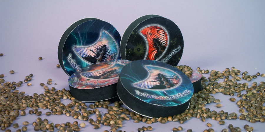 Besten Cannabissorten GeneSeeds