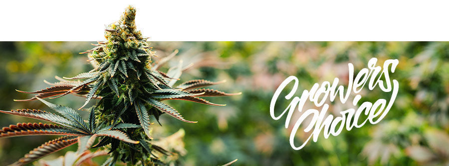 Growers Choice Growers Choice