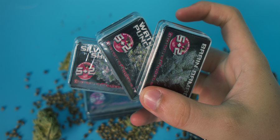 Growers Choice: Mache Diese Samen Zu Deiner Wahl Growers Choice Deiner Wahl