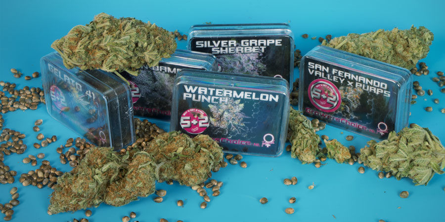 Wer Sind Growers Choice? Wer sind Growers Choice?