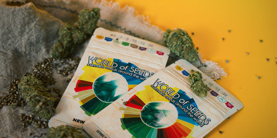 Wo Kann Ich Cannabissamen Von World Of Seeds Kaufen? Wo Kann Ich Cannabissamen Von World Of Seeds Kaufen?