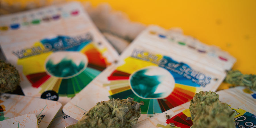 World Of Seeds: Entdecke World Of Seeds Noch Heute! World Of Seeds: Entdecke World Of Seeds Noch Heute!