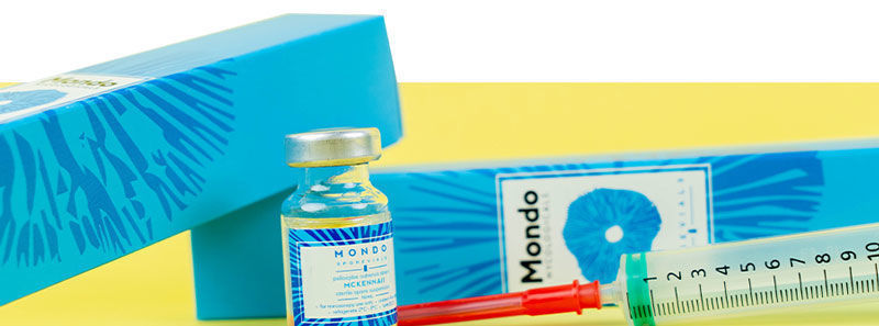 Zauberpilz-Sporenampullen bei Zamnesia kaufen