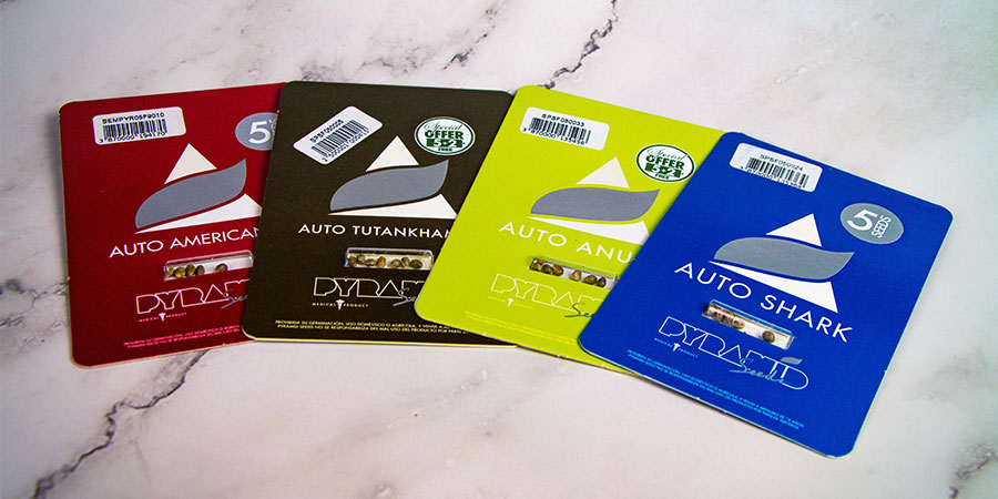 Verpackung Von Pyramid Seeds Verpackung Von Pyramid Seeds