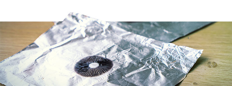 Kaufe Sporenabdrücke von Magic Mushrooms