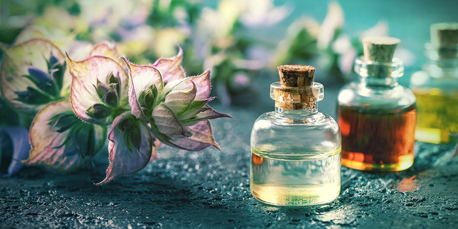 Was Sind Traumkräuter? WAS SIND TRAUMKRÄUTER?