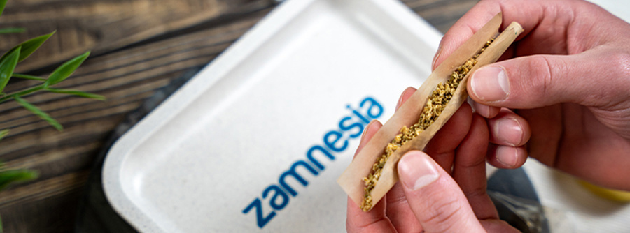 Informationen über den Headshop von Zamnesia Informationen über den Headshop von Zamnesia