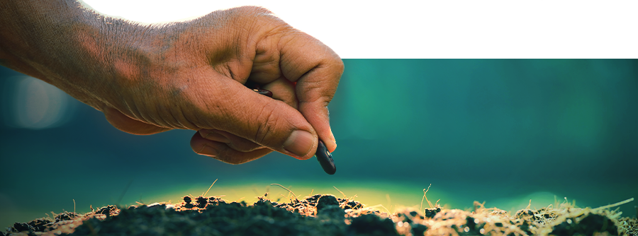 Smart Seeds - Baue natürliche Psychedelika & antike Aphrodisiaka selbst an