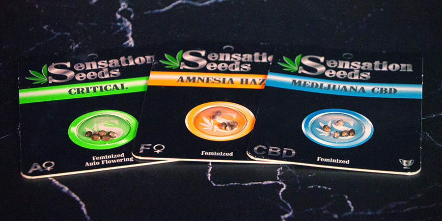 Verpackungen von Sensation Seeds Verpackungen von Sensation Seeds