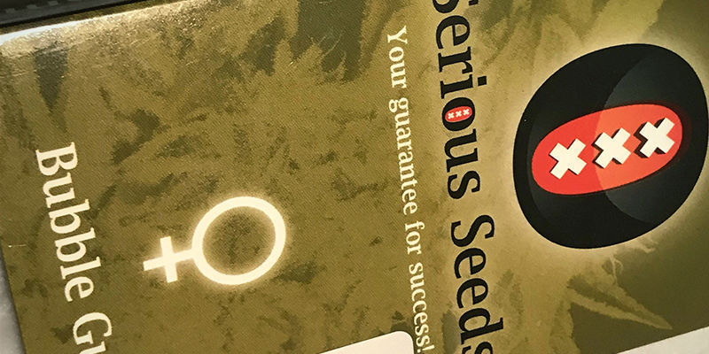Verpackung Von Serious Seeds Verpackung von Serious Seeds