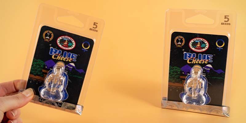 Verpackung von Big Buddha Seeds