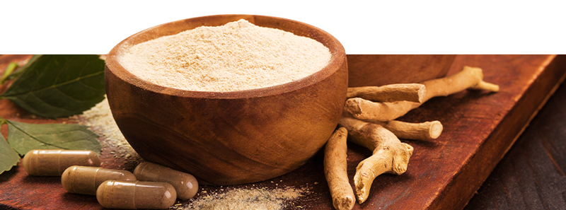 Ayurveda-Produkte Online Bei Zamnesia Kaufen Ayurveda-Produkte online bei Zamnesia kaufen