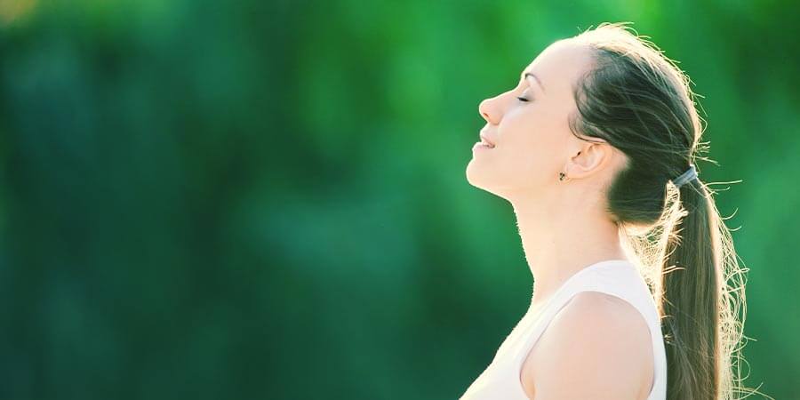 Schritt 3: Revitalisierung Mit Kräutern Schritt 3: Revitalisierung mit Kräutern