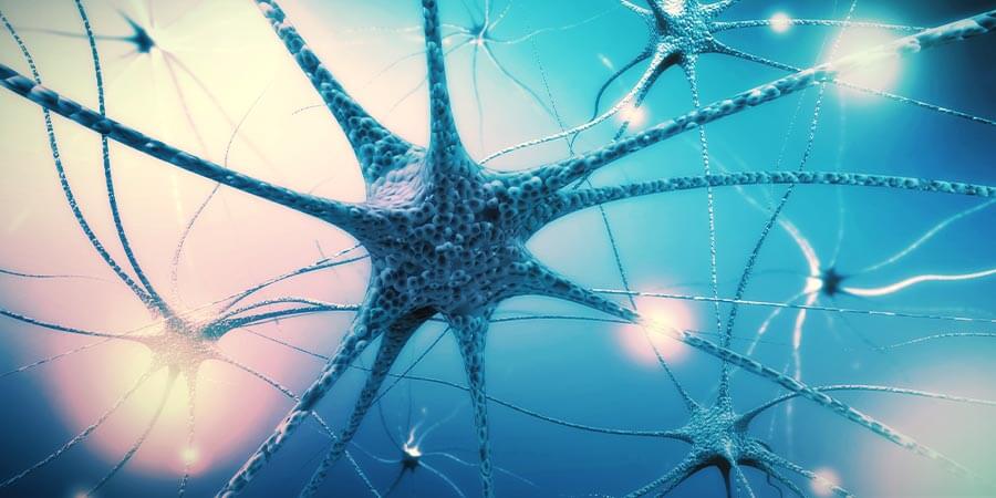 Schritt 4: Päppel Dein Nervensystem Auf Schritt 4: Päppel Dein Nervensystem auf