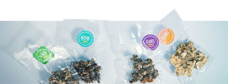 Magische Trüffel kaufen und die perfekte Sorte finden