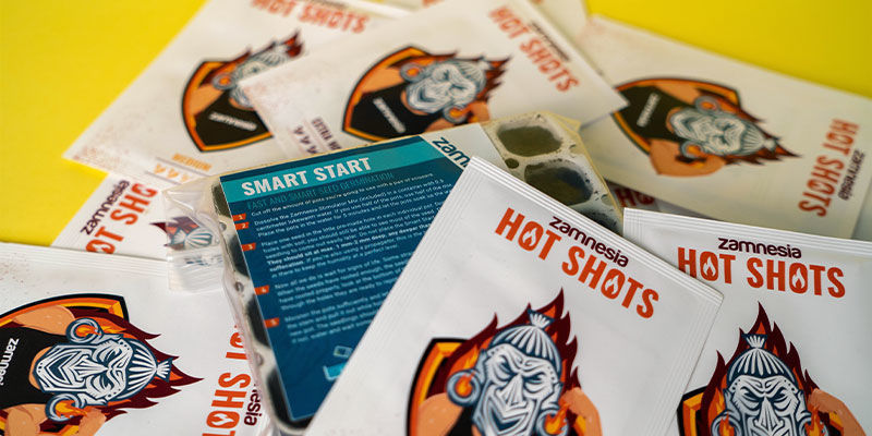 Wie Man Chilisamen Keimen Lässt Anbau von Chilischoten - Wie Man Chilisamen Keimen Lässt