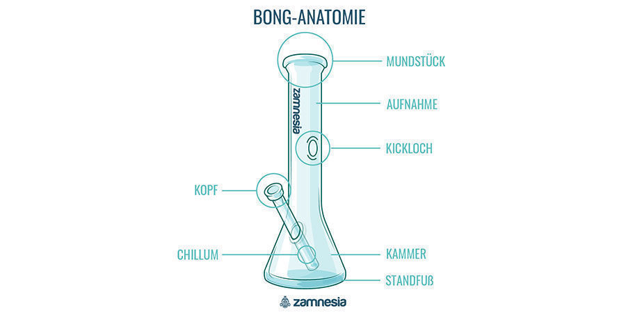 Bong-Anatomie