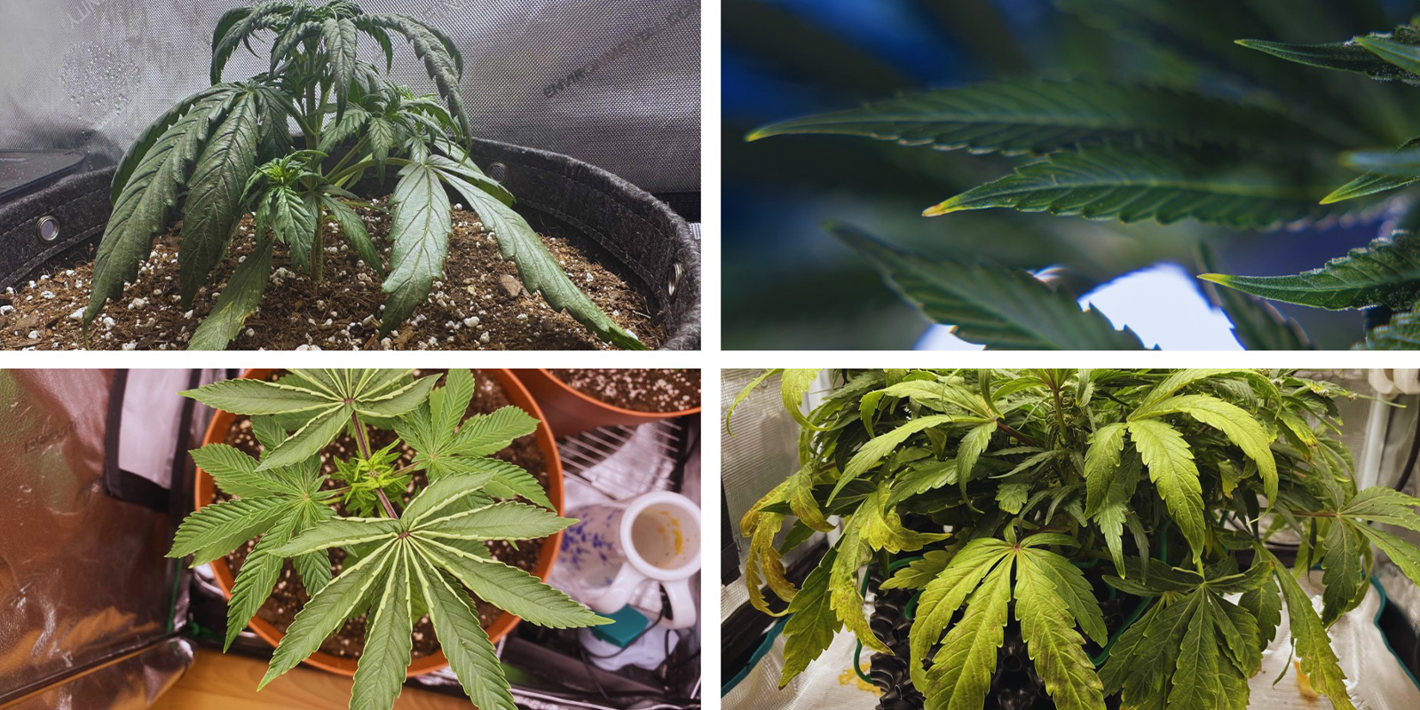 Schnelle Symptom-Checkliste