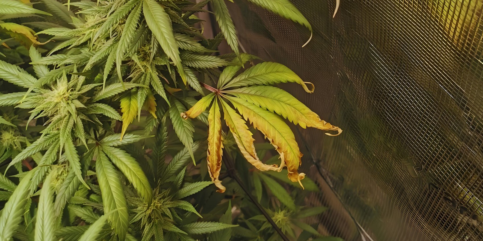 Wann du dir Sorgen machen solltest