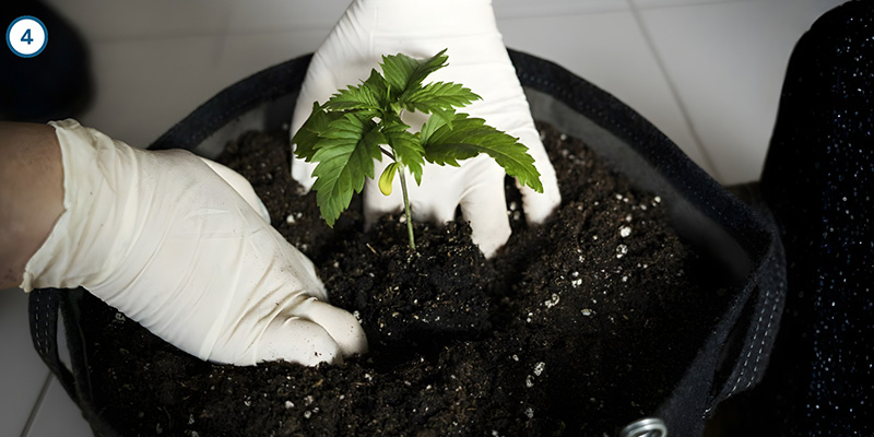 Der eigentliche Umzug