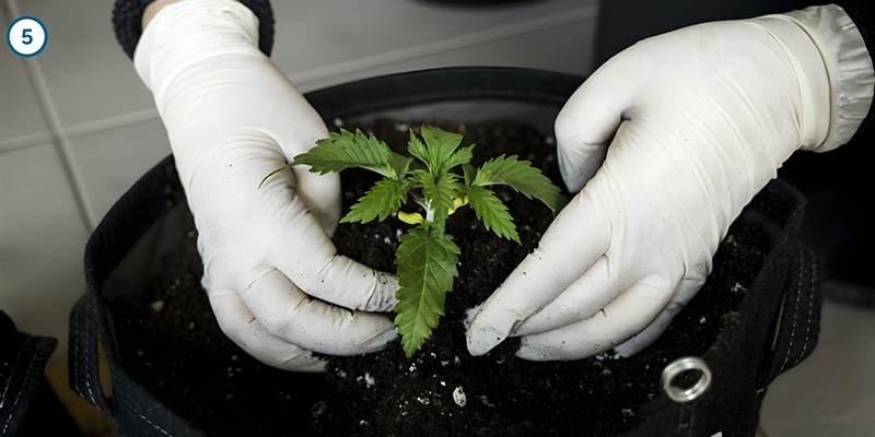 Der eigentliche Umzug