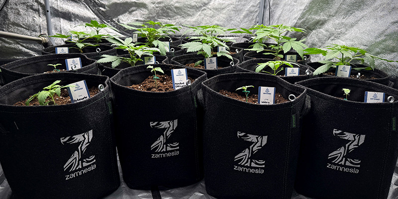 Den richtigen Topf w&auml;hlen