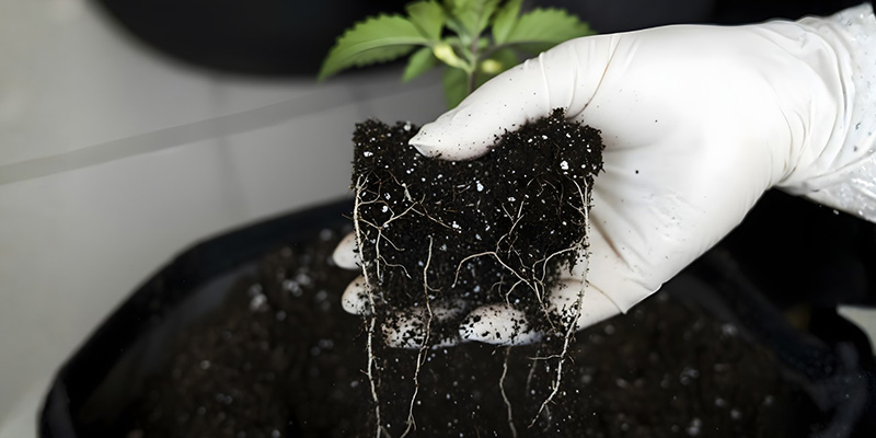 H&auml;ufige Umtopf-Fehler &ndash; und wie du sie vermeidest