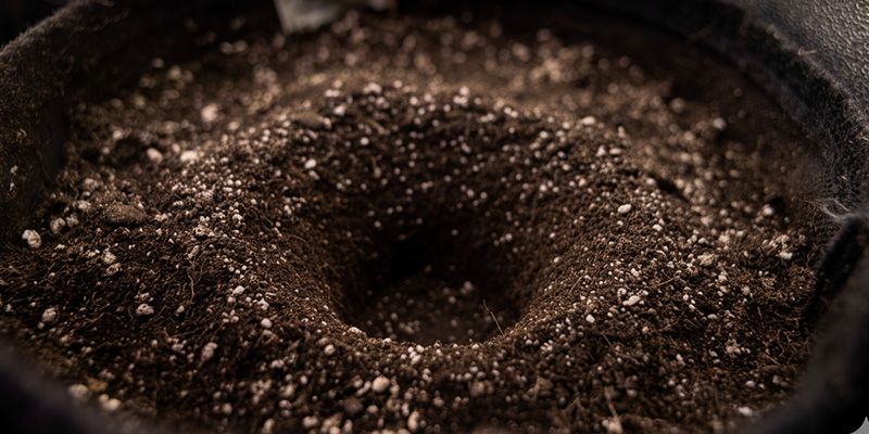 Das neue Zuhause vorbereiten