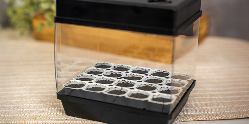 1. Cannabissamen mit einem Keimset keimen 1. Cannabissamen mit einem Keimset keimen