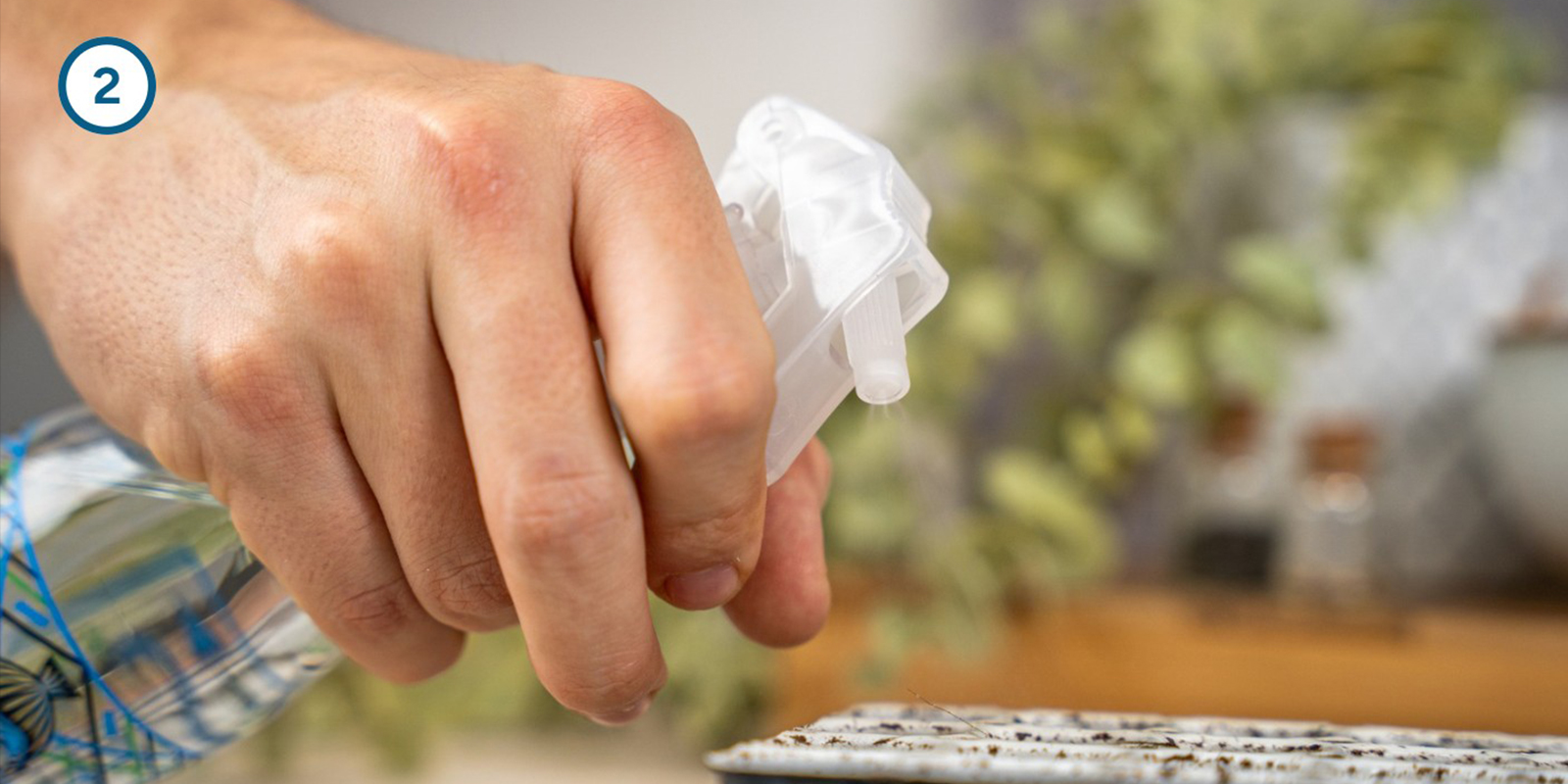 Keimset-Methode Keimset-Methode