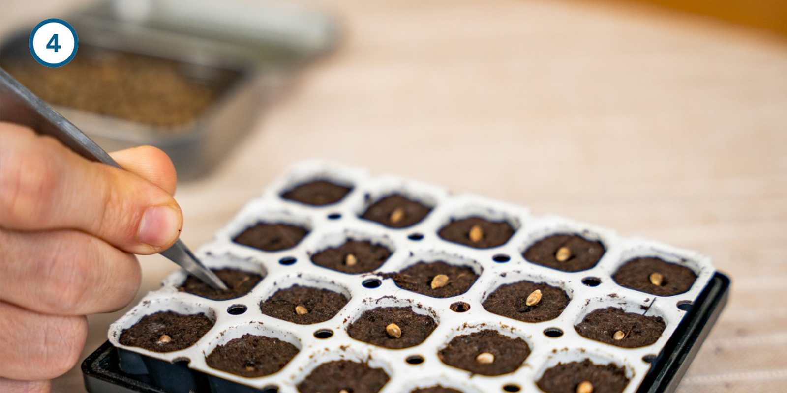 Keimset-Methode Keimset-Methode