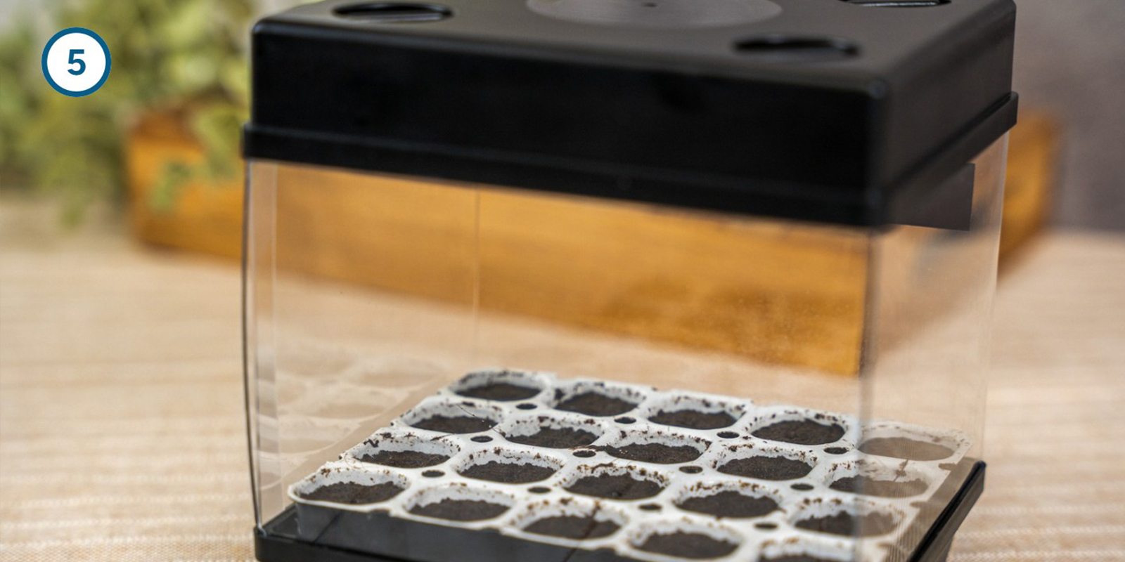 Keimset-Methode Keimset-Methode