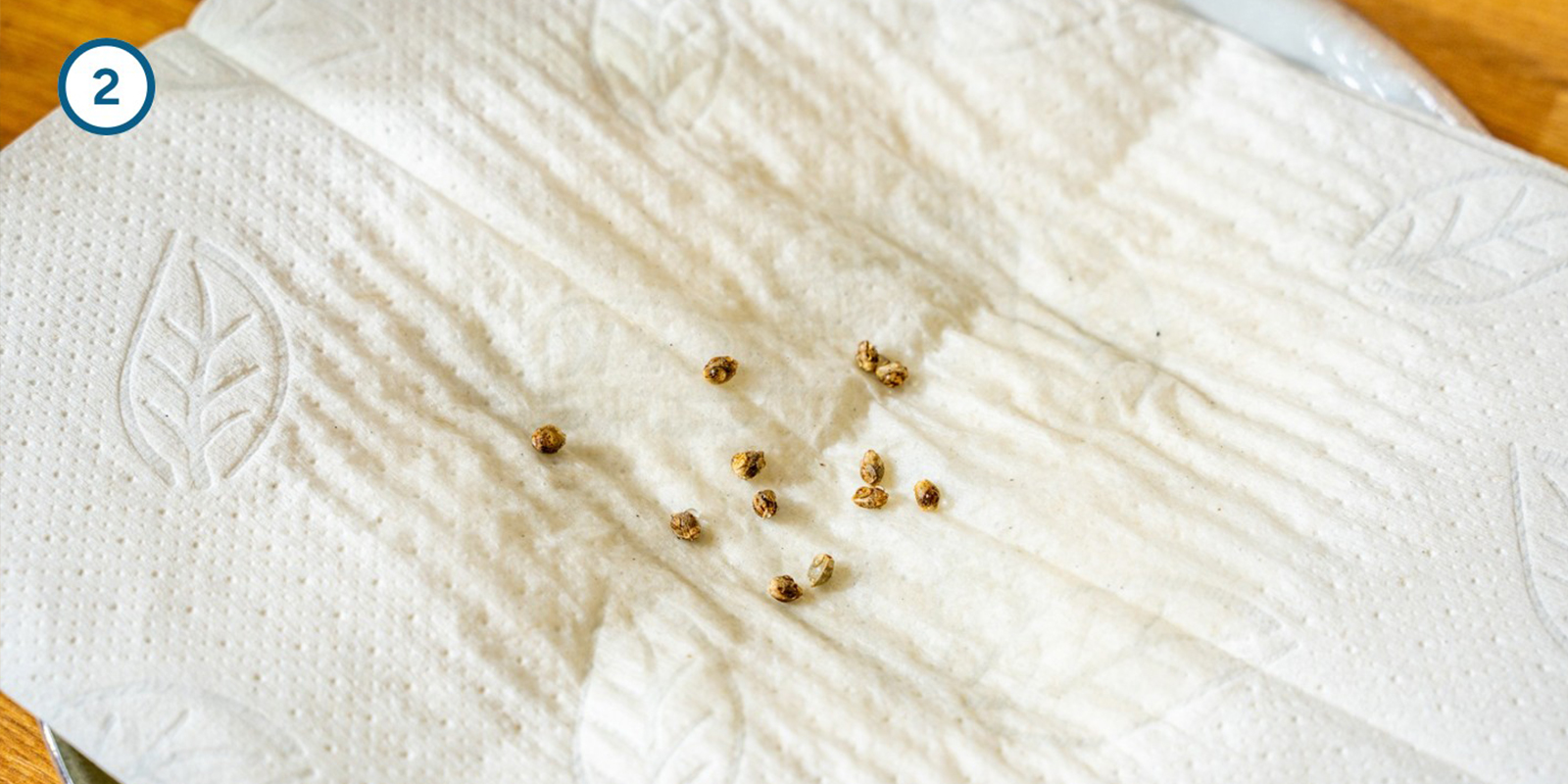 Küchenpapier-Methode Küchenpapier-Methode