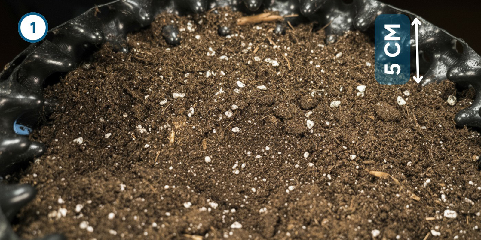 Direkt-in-die-Erde-Methode Direkt-in-die-Erde-Methode