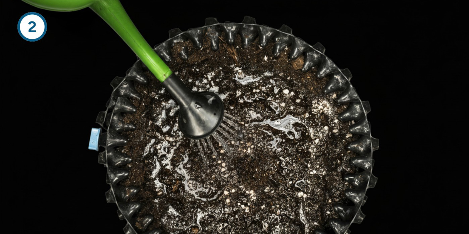 Direkt-in-die-Erde-Methode Direkt-in-die-Erde-Methode