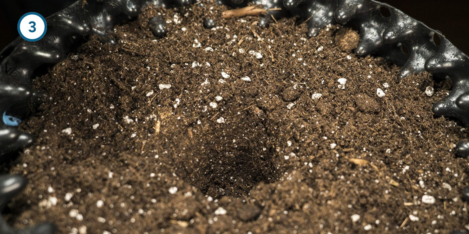 Direkt-in-die-Erde-Methode Direkt-in-die-Erde-Methode