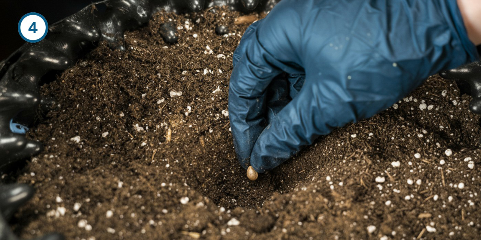 Direkt-in-die-Erde-Methode Direkt-in-die-Erde-Methode