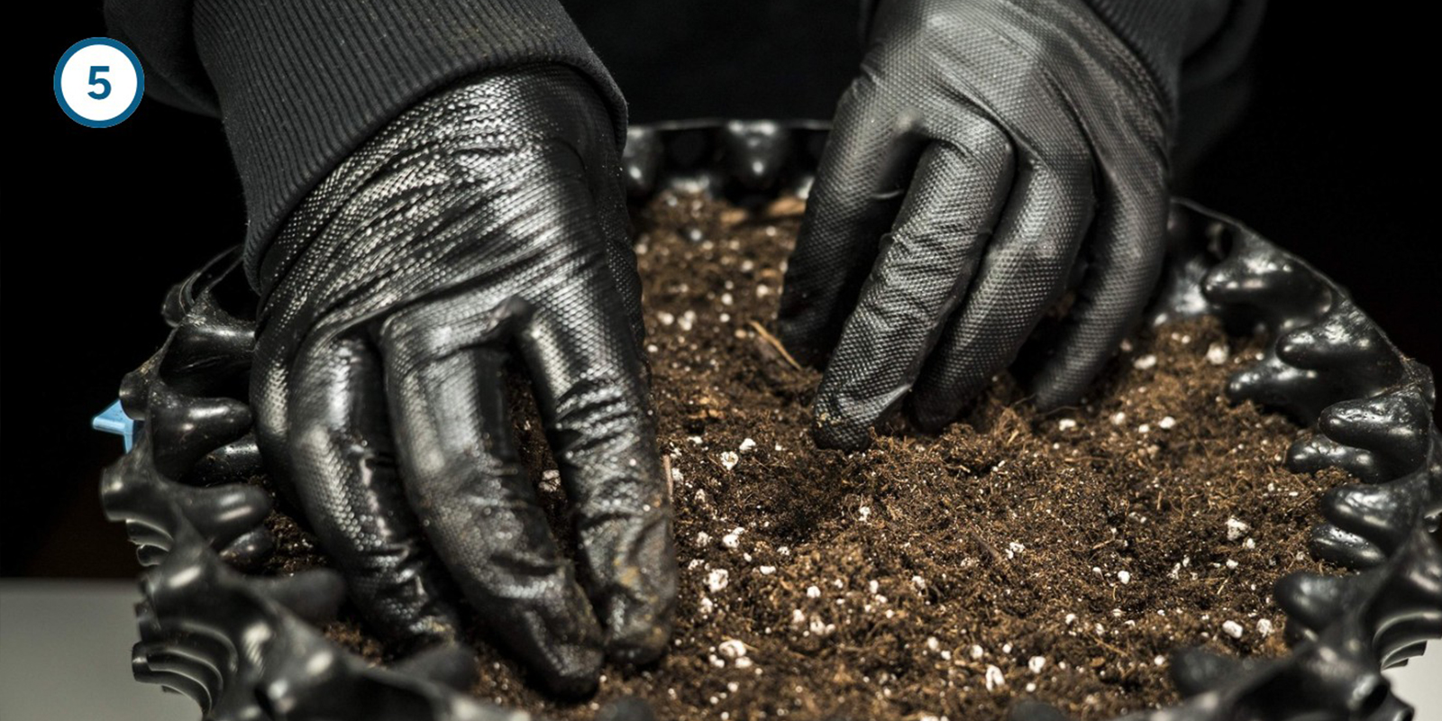 Direkt-in-die-Erde-Methode Direkt-in-die-Erde-Methode