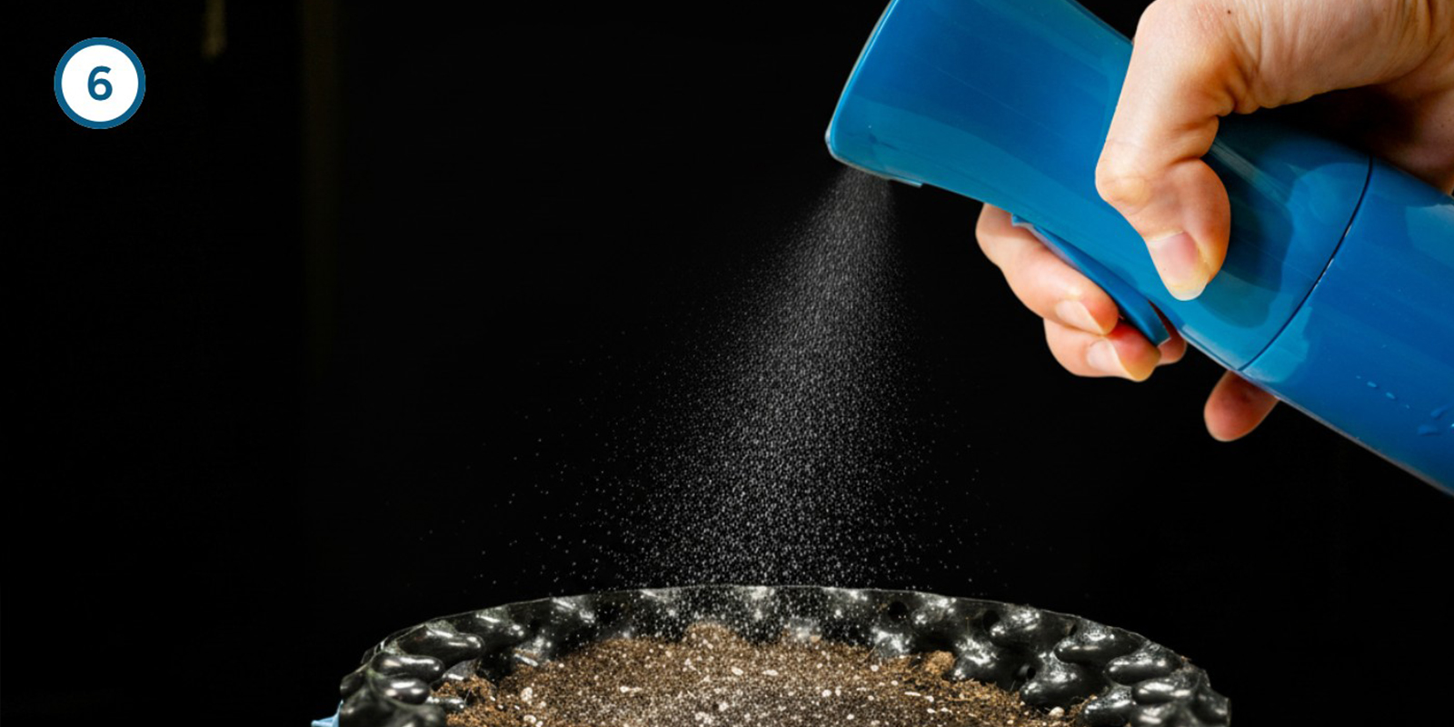 Direkt-in-die-Erde-Methode Direkt-in-die-Erde-Methode